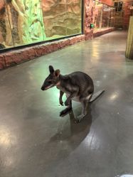 -Zoolung Zoolung动物主题公园(海信广场店)