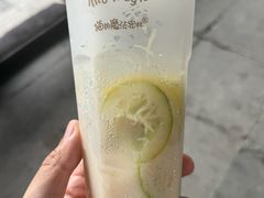 -猫的魔法密林(衣裳街店)