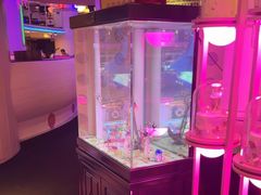 -巴特餐饮6加1音乐餐吧·新疆菜