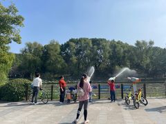 -昆山城市生态森林公园