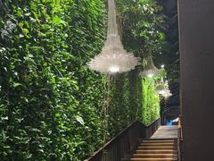 -穿越·外婆家(西溪天堂店)