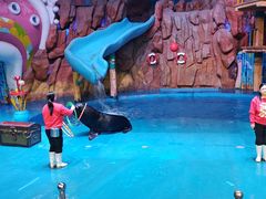 -烟台海昌鲸鲨海洋公园