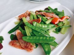 -云中小雅