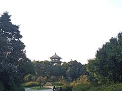 -梧桐山风景名胜区