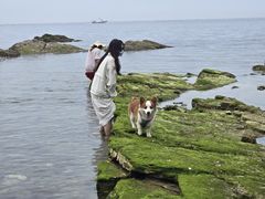 -养马岛旅游度假区