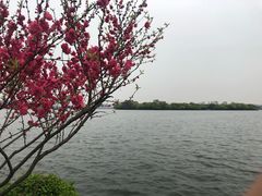 -西湖游船