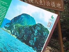 -杨梅坑