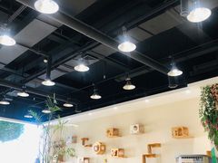 -藏猫猫咖啡主题馆(中央大道店)