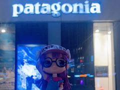 -Patagonia(三里屯SOHO店)