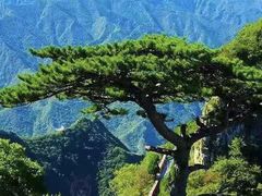 -圣莲山风景区