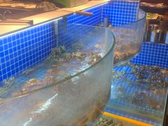 -星伦多自助料理·涮烤一体(虹悦城店)