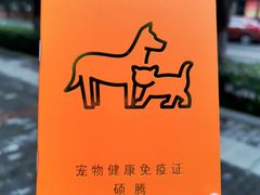 -佳怡动物医院·平价24小时·猫专科骨外科