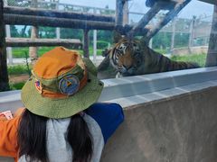 -西霞口神雕山野生动物世界