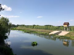 -东郊湿地公园
