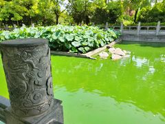 -洛阳白马寺