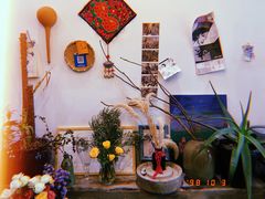 -花满楼(启秀路店)