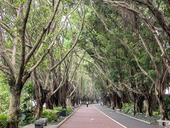 -南宁南湖公园