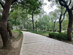 -元大都城垣遗址公园