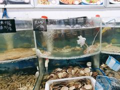 -鑫渔港海鲜本地菜·山海关浑锅(东戴河店)