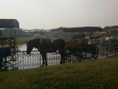 -迪茵湖田家舍生态农场