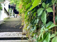 -吴山景区