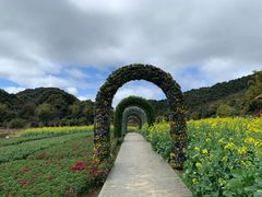 -广州市石门国家森林公园