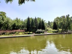 -团结湖公园