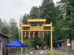 -渌洋湖湿地公园