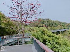-金鸡山公园