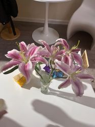 -美肌工坊皮肤管理