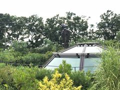 -三鹰之森吉卜力美术馆