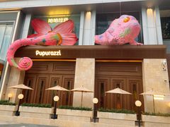 -帕帕拉兹宠物(亚洲旗舰店)