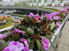-陆家嘴空中步行连廊