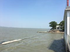 -古尚锦酒楼·水上餐厅