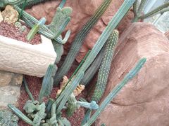 -南通洲际绿博园