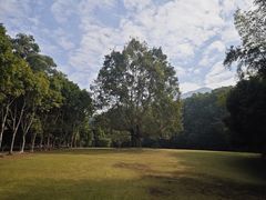 -深圳仙湖植物园