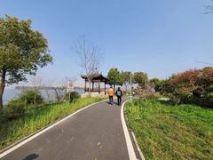 -金银湖国家城市湿地公园