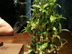 android_upload_pic-粗茶淡饭·隐庐私厨(东亭店)