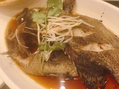 -双井轩(双井店)
