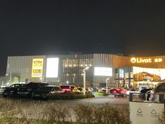 -红东阁东北菜烤肉酒馆(CROSS万象汇店)
