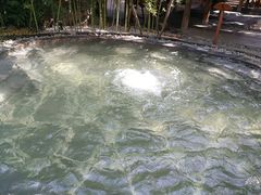 -昆明柏联SPA温泉