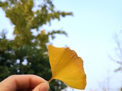 -白鹭湾湿地公园