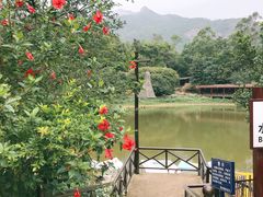 -清水湖度假村(罗浮山美食地标店)