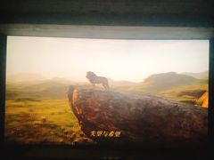 -万达影城(锦华万达广场IMAX店)