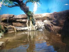 -沙沙哗啦海洋馆(华宇百花谷店)