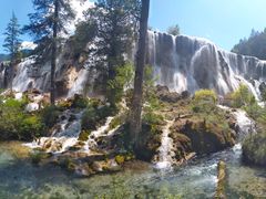 -乡土特色.冷锅鱼.牦牛肉汤锅