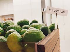 -introlemons(北京西单更新场店)
