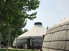 -九十九顶毡房(阜石路店)