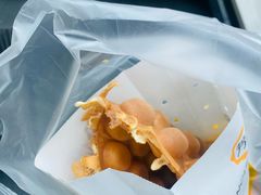 -芳叔(动漫星城店)