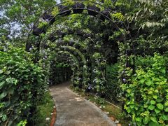 -福建鲤鱼洲酒店